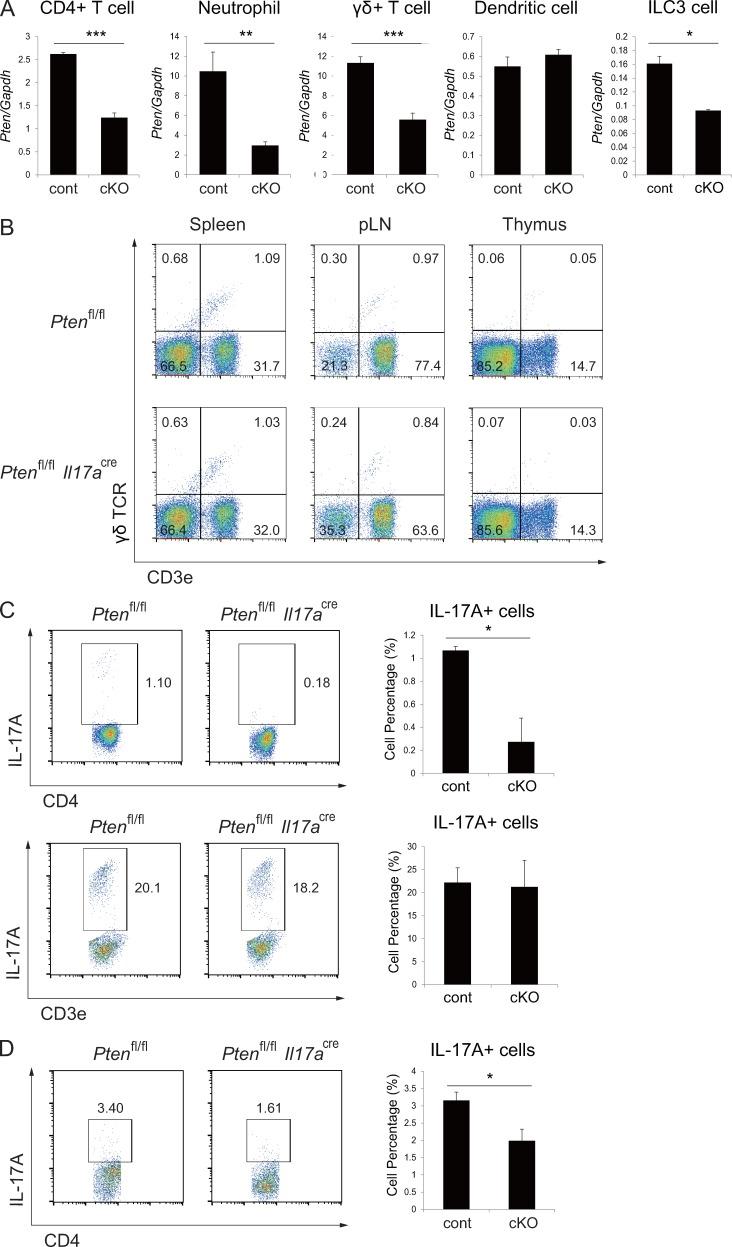 https://cdn.ncbi.nlm.nih.gov/pmc/blobs/0530/5679178/95270d2e3082/JEM_20170523_Fig3.jpg
