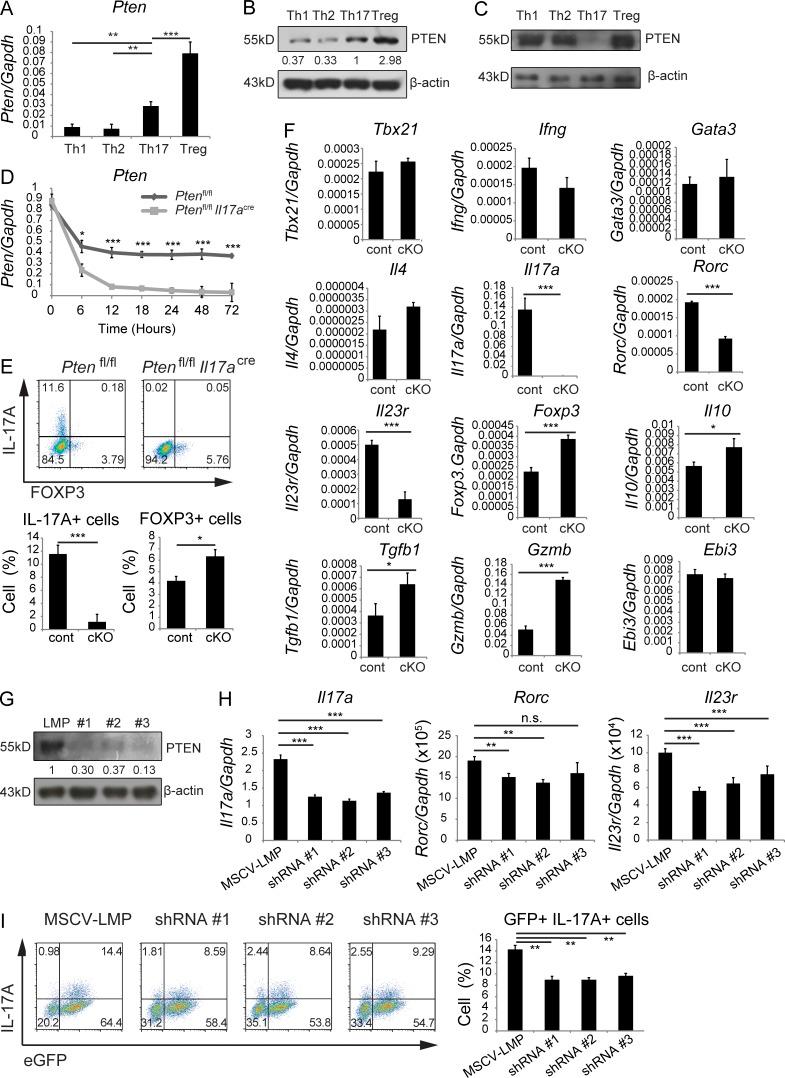 https://cdn.ncbi.nlm.nih.gov/pmc/blobs/0530/5679178/b3b1889432b3/JEM_20170523_Fig1.jpg