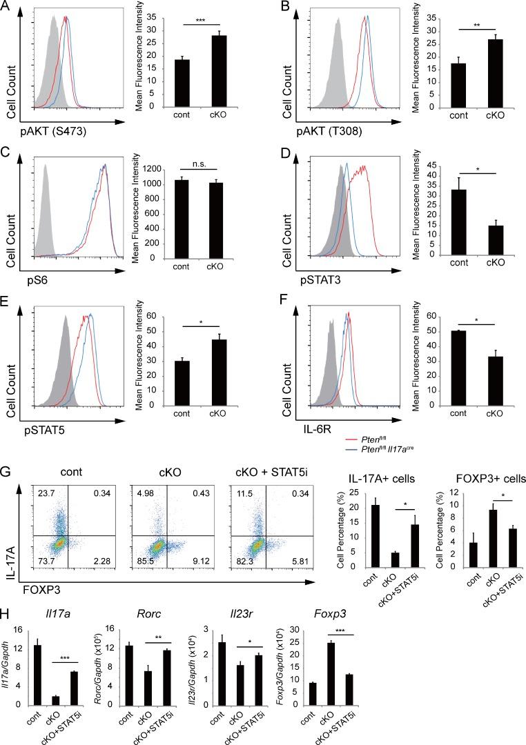 https://cdn.ncbi.nlm.nih.gov/pmc/blobs/0530/5679178/d2a2647b0eae/JEM_20170523_Fig5.jpg
