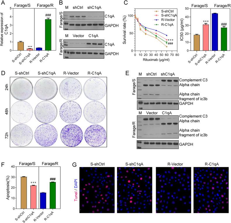 https://cdn.ncbi.nlm.nih.gov/pmc/blobs/0533/10618261/5d7404677dba/41420_2023_1698_Fig3_HTML.jpg