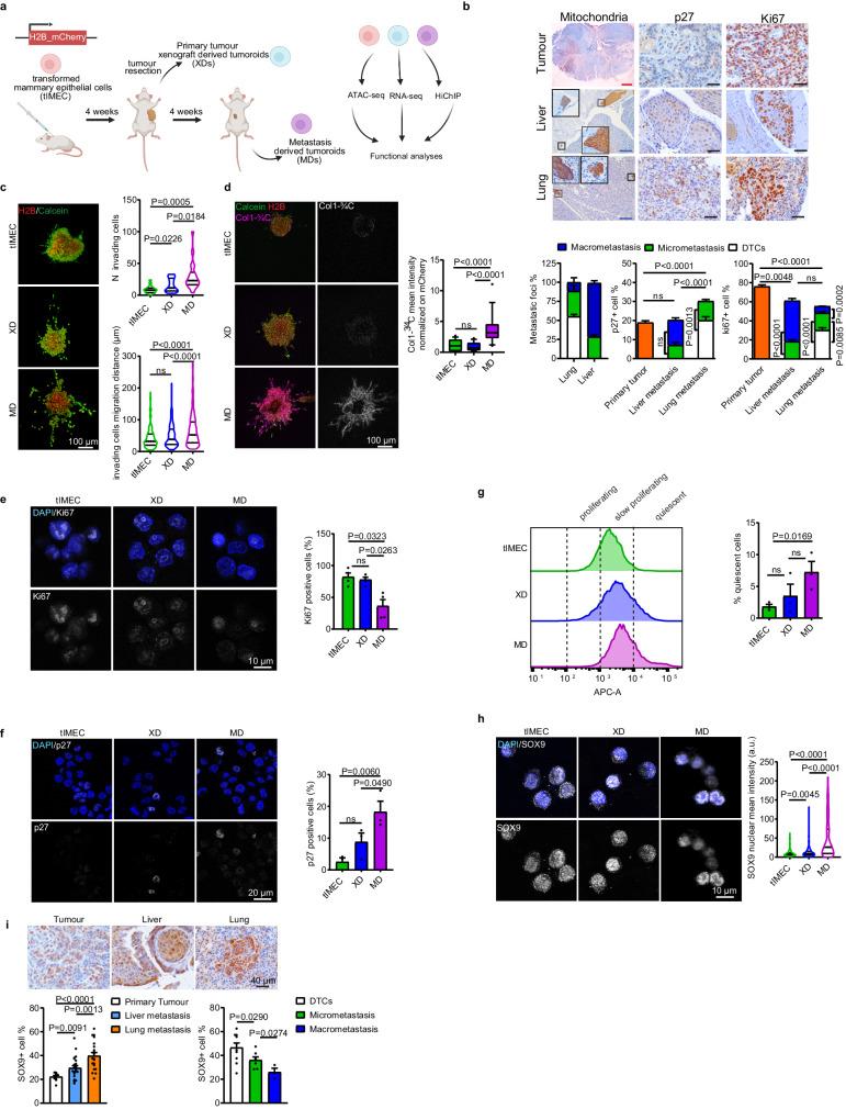 https://cdn.ncbi.nlm.nih.gov/pmc/blobs/0533/10951355/28aacd07dee5/41467_2024_46524_Fig1_HTML.jpg