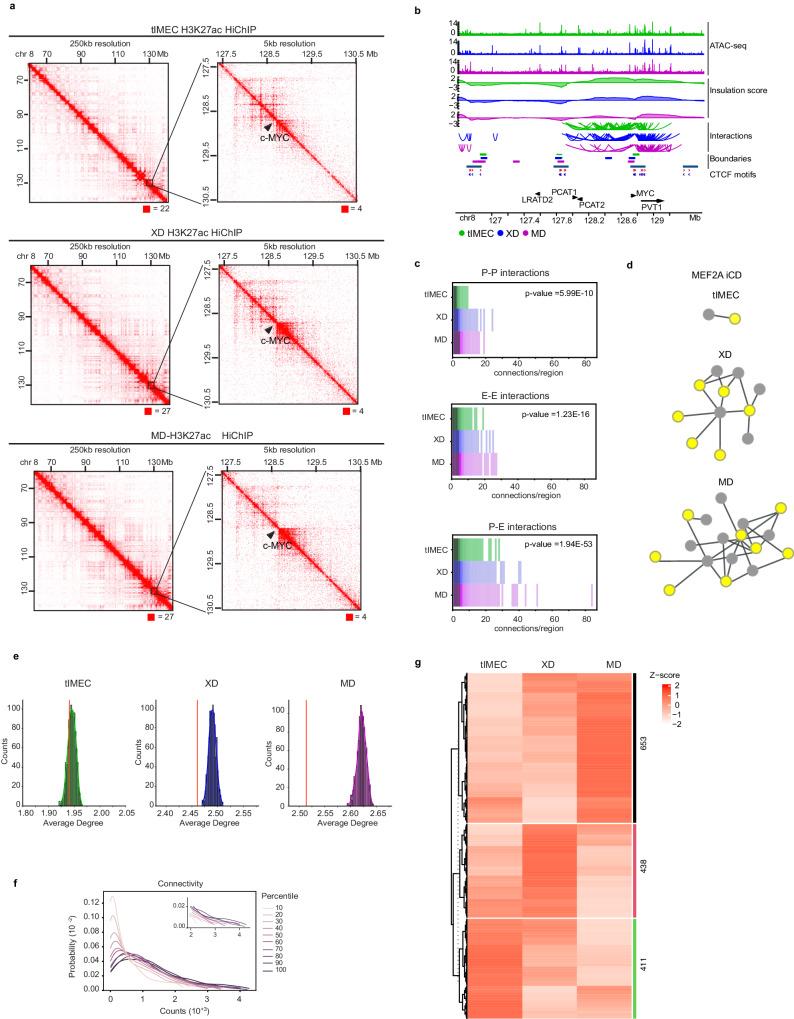 https://cdn.ncbi.nlm.nih.gov/pmc/blobs/0533/10951355/54e86dc3ee27/41467_2024_46524_Fig3_HTML.jpg