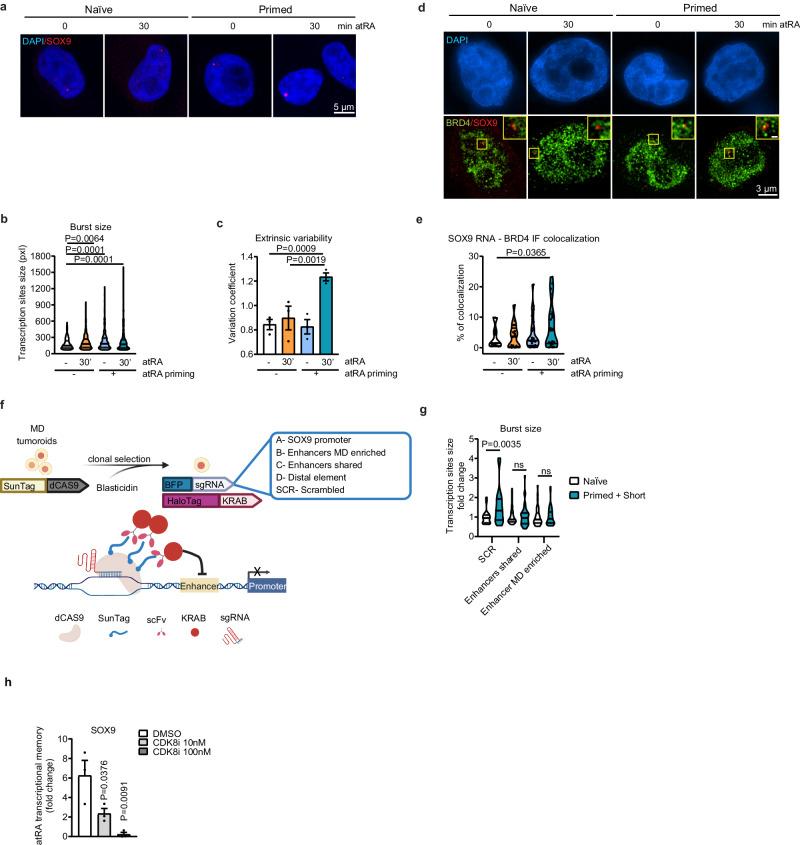 https://cdn.ncbi.nlm.nih.gov/pmc/blobs/0533/10951355/5b6723710e54/41467_2024_46524_Fig6_HTML.jpg
