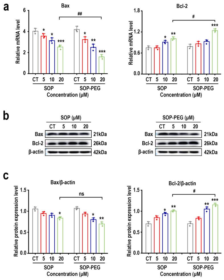 https://cdn.ncbi.nlm.nih.gov/pmc/blobs/0533/11899872/0daf896353ae/ijms-26-01869-g008.jpg