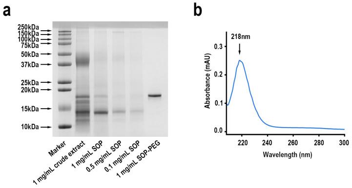 https://cdn.ncbi.nlm.nih.gov/pmc/blobs/0533/11899872/1feb50dc9956/ijms-26-01869-g002.jpg