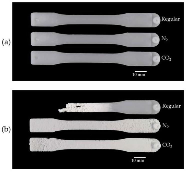 https://cdn.ncbi.nlm.nih.gov/pmc/blobs/0533/6415066/599766bb02f4/polymers-10-00036-g006.jpg
