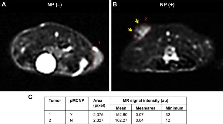 https://cdn.ncbi.nlm.nih.gov/pmc/blobs/0534/5010162/e8032e806f84/ijn-11-4141Fig9.jpg