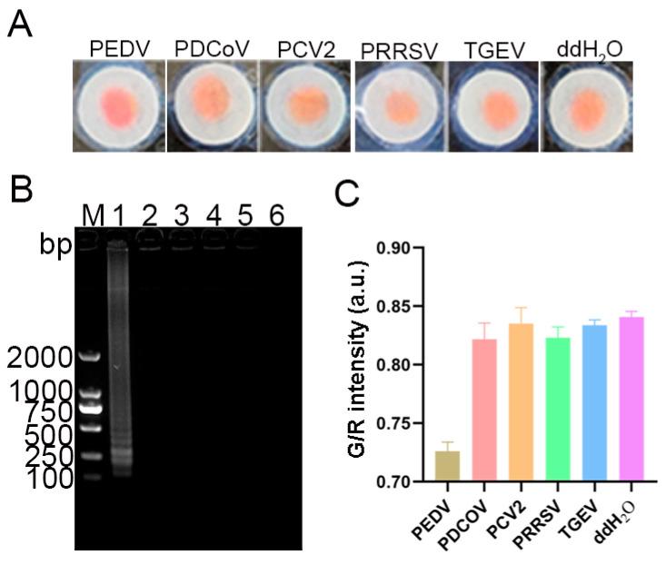 https://cdn.ncbi.nlm.nih.gov/pmc/blobs/0535/12115601/22c4ee83d873/vetsci-12-00427-g009.jpg