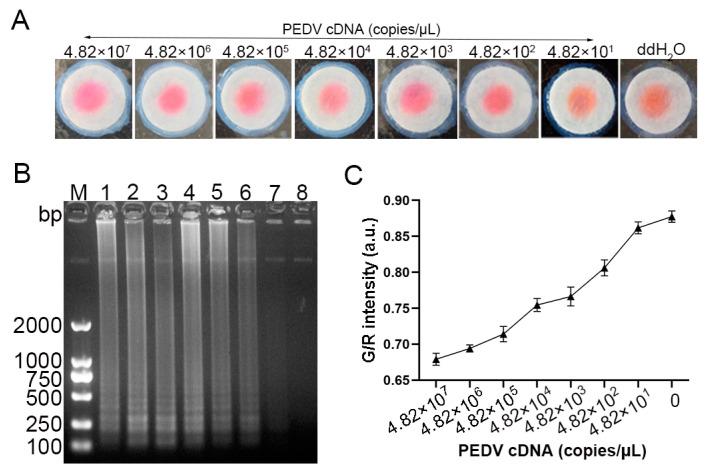 https://cdn.ncbi.nlm.nih.gov/pmc/blobs/0535/12115601/9697bdaf98cf/vetsci-12-00427-g010.jpg