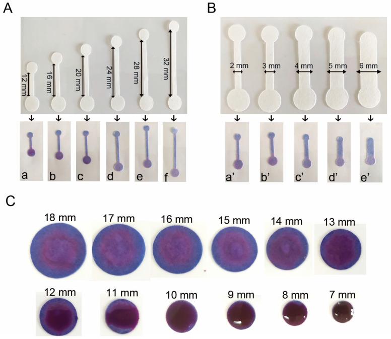 https://cdn.ncbi.nlm.nih.gov/pmc/blobs/0535/12115601/e9f295a0ca54/vetsci-12-00427-g005.jpg