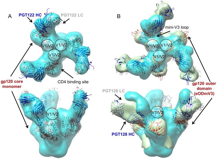 https://cdn.ncbi.nlm.nih.gov/pmc/blobs/0535/3642082/d408cba6a429/ppat.1003342.g003.jpg