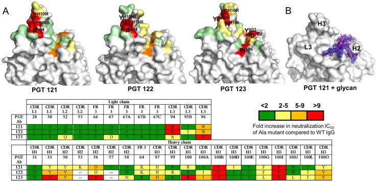 https://cdn.ncbi.nlm.nih.gov/pmc/blobs/0535/3642082/f2695f4590ae/ppat.1003342.g002.jpg