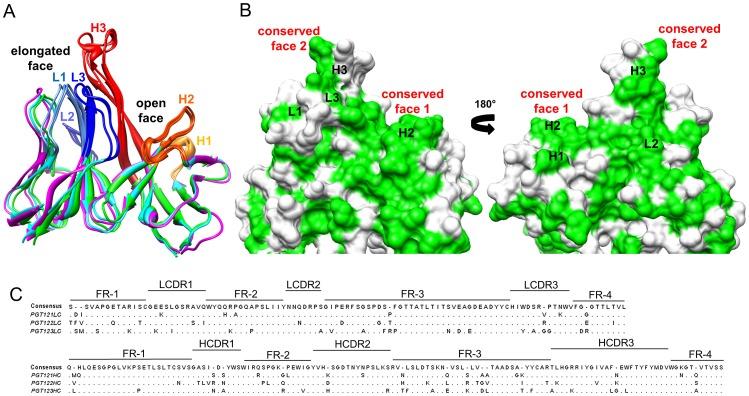 https://cdn.ncbi.nlm.nih.gov/pmc/blobs/0535/3642082/fa2658fc6a65/ppat.1003342.g001.jpg