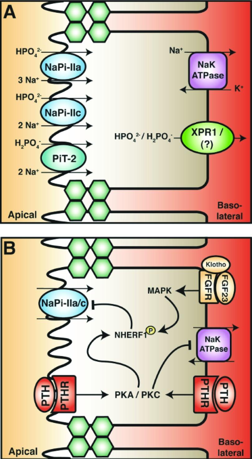 https://cdn.ncbi.nlm.nih.gov/pmc/blobs/0536/5627579/5795a6558d3d/f1000research-6-13090-g0002.jpg
