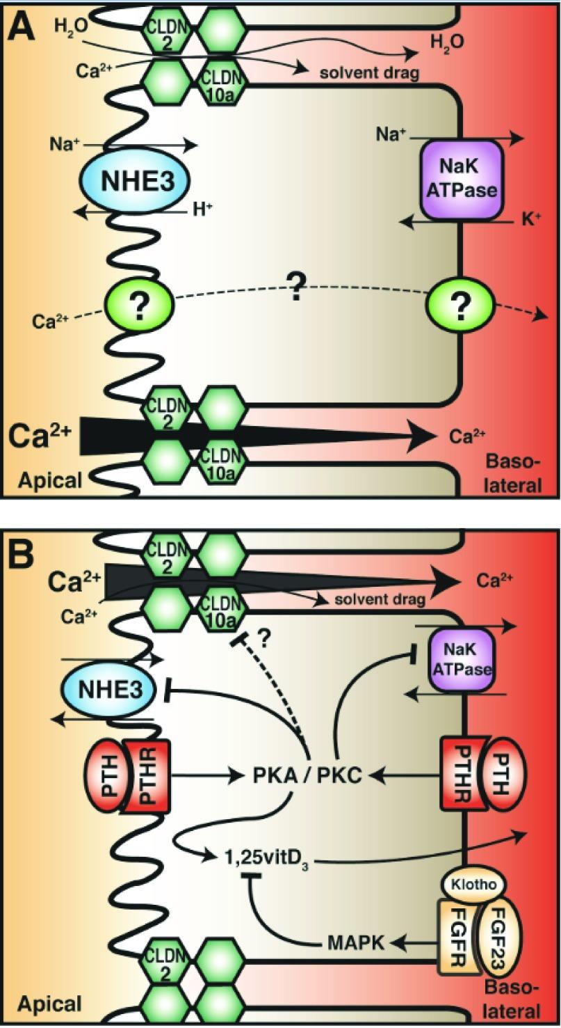 https://cdn.ncbi.nlm.nih.gov/pmc/blobs/0536/5627579/695d792a0b88/f1000research-6-13090-g0001.jpg