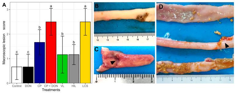https://cdn.ncbi.nlm.nih.gov/pmc/blobs/0539/10820081/2332cb37a1c6/toxins-16-00046-g001.jpg