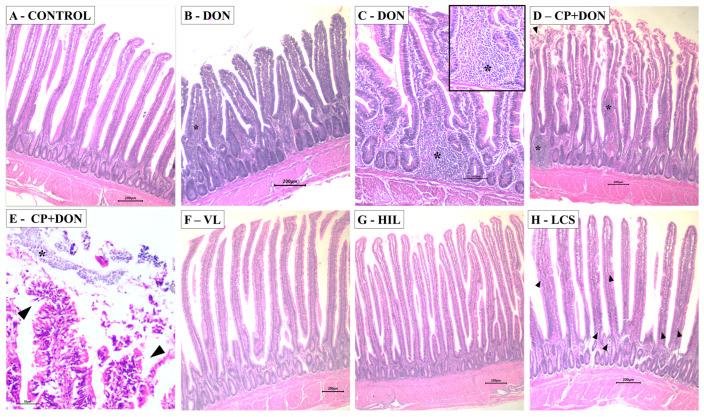 https://cdn.ncbi.nlm.nih.gov/pmc/blobs/0539/10820081/f2208c14a992/toxins-16-00046-g002.jpg