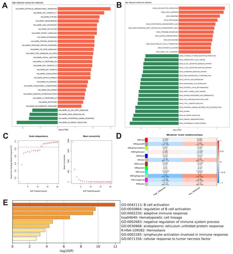 https://cdn.ncbi.nlm.nih.gov/pmc/blobs/0539/9563840/c96b1441f726/cancers-14-04657-g004.jpg