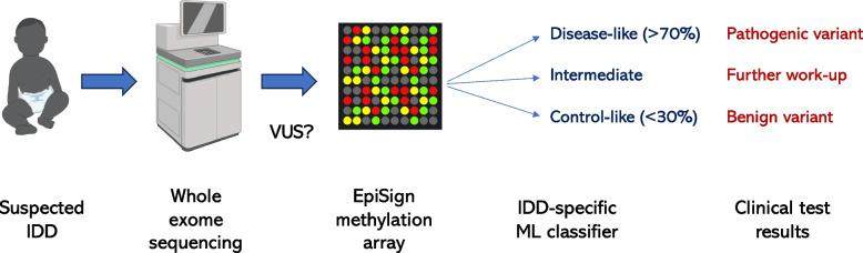 https://cdn.ncbi.nlm.nih.gov/pmc/blobs/053a/11841270/14ecf75bc885/11689_2025_9598_Fig1_HTML.jpg