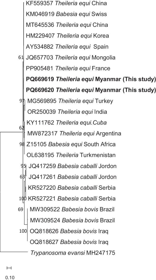 https://cdn.ncbi.nlm.nih.gov/pmc/blobs/053a/12011657/9a5a6f496134/436_2025_8488_Fig4_HTML.jpg