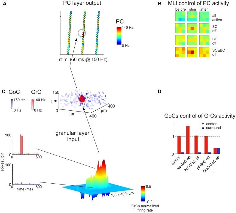 https://cdn.ncbi.nlm.nih.gov/pmc/blobs/053a/6854908/2832e08af17a/fnmol-12-00267-g0007.jpg