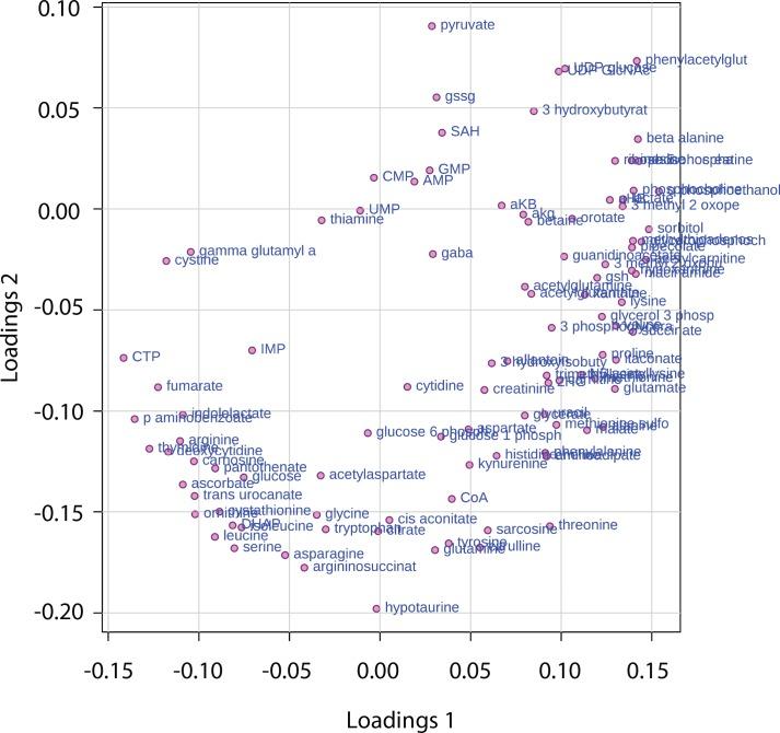 https://cdn.ncbi.nlm.nih.gov/pmc/blobs/053c/6510537/296d4b1fa368/elife-44235-fig5-figsupp2.jpg