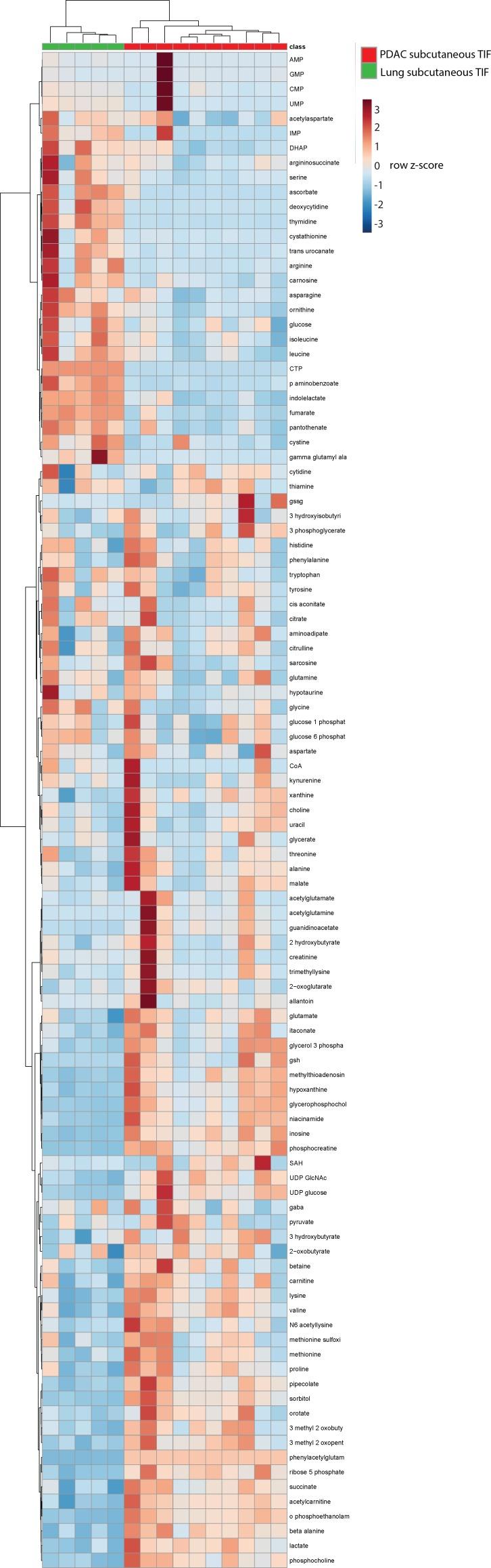 https://cdn.ncbi.nlm.nih.gov/pmc/blobs/053c/6510537/2b28b32fdff0/elife-44235-fig5-figsupp3.jpg