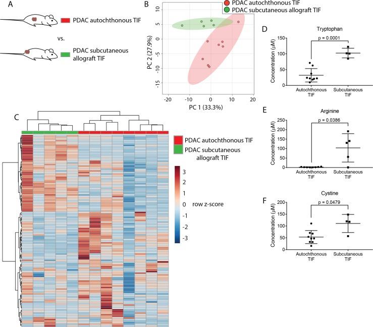 https://cdn.ncbi.nlm.nih.gov/pmc/blobs/053c/6510537/2c2747627e00/elife-44235-fig3.jpg
