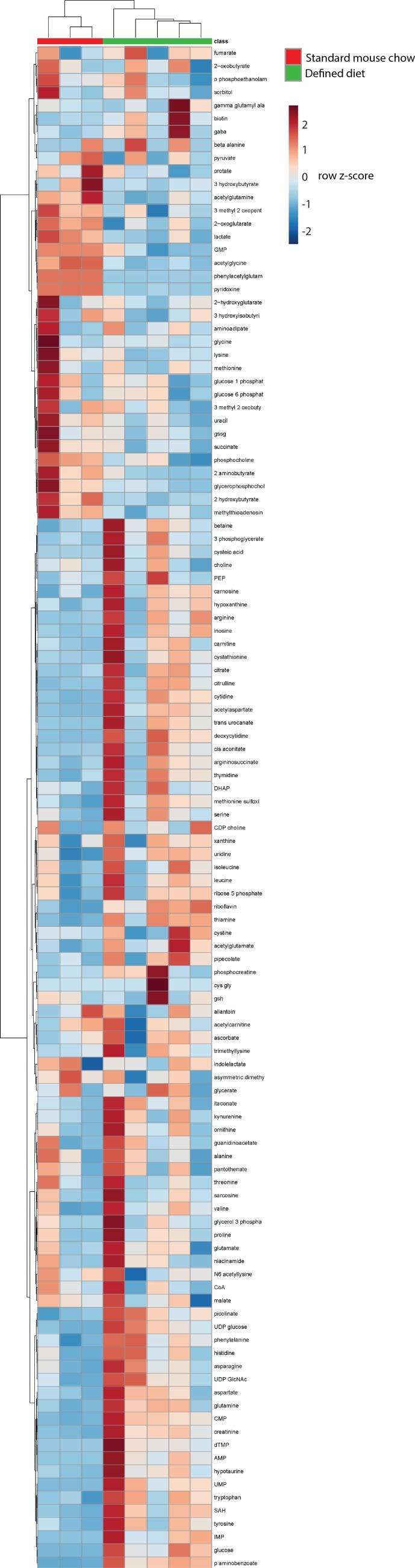 https://cdn.ncbi.nlm.nih.gov/pmc/blobs/053c/6510537/315860908aeb/elife-44235-fig4-figsupp2.jpg