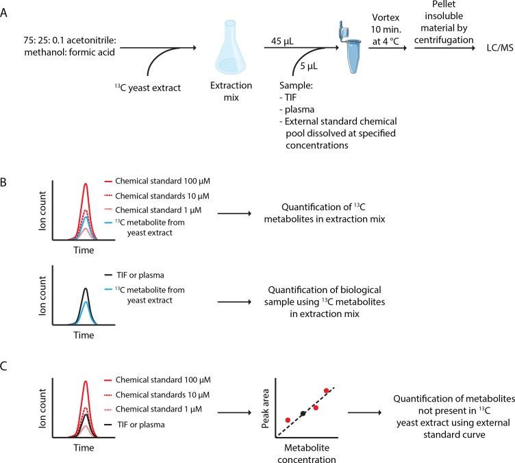 https://cdn.ncbi.nlm.nih.gov/pmc/blobs/053c/6510537/87dd511fcfa1/elife-44235-fig1-figsupp3.jpg