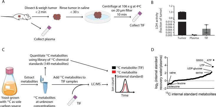 https://cdn.ncbi.nlm.nih.gov/pmc/blobs/053c/6510537/8d9d06f2269b/elife-44235-fig1.jpg