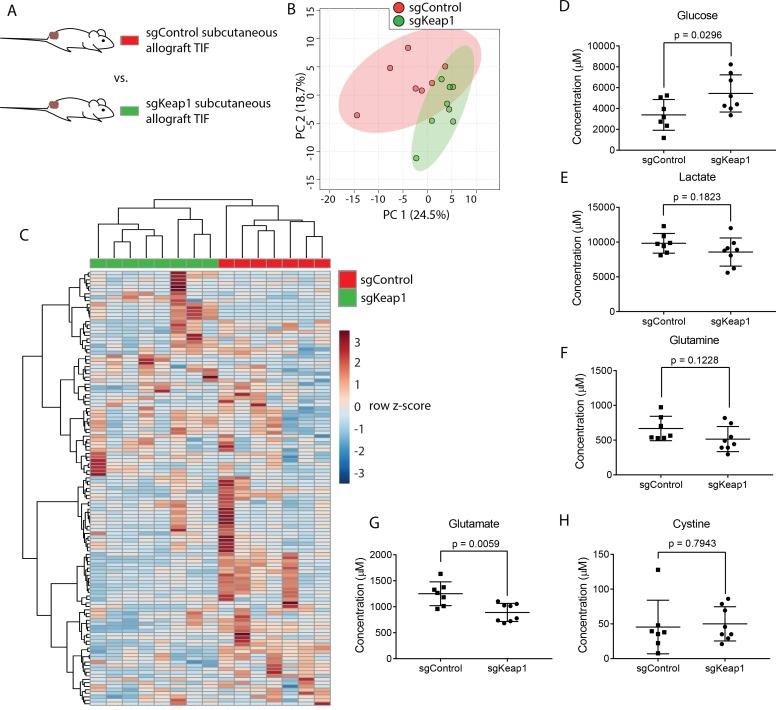 https://cdn.ncbi.nlm.nih.gov/pmc/blobs/053c/6510537/928e715811ef/elife-44235-fig6.jpg