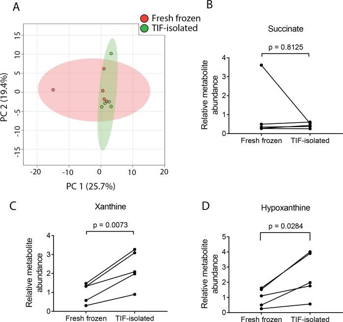 https://cdn.ncbi.nlm.nih.gov/pmc/blobs/053c/6510537/a39d39efa8b3/elife-44235-fig1-figsupp1.jpg