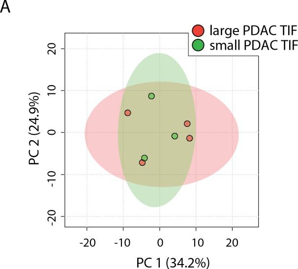 https://cdn.ncbi.nlm.nih.gov/pmc/blobs/053c/6510537/d2465a71a5b0/elife-44235-fig2-figsupp7.jpg
