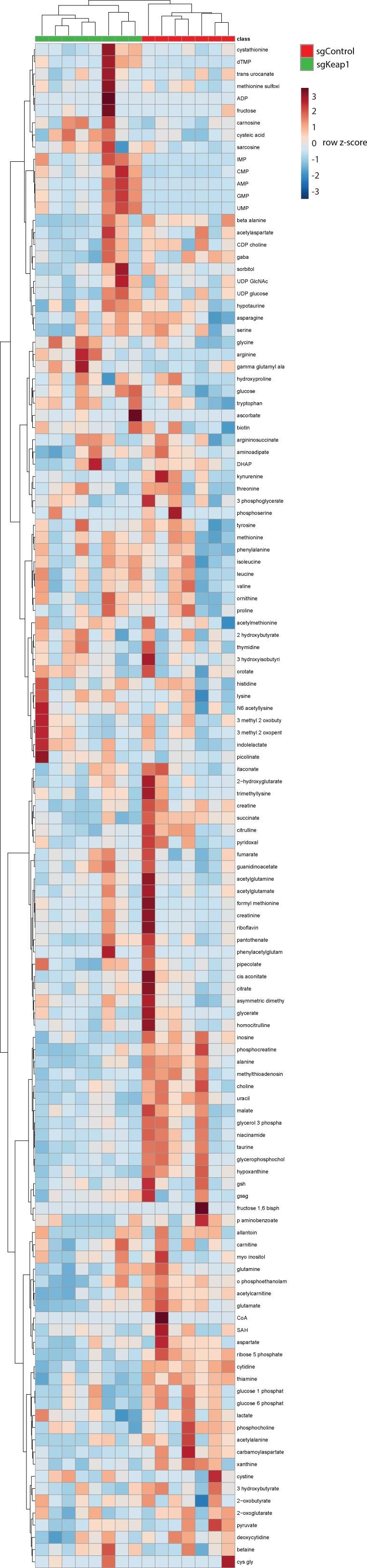 https://cdn.ncbi.nlm.nih.gov/pmc/blobs/053c/6510537/d5eca2484a49/elife-44235-fig6-figsupp2.jpg