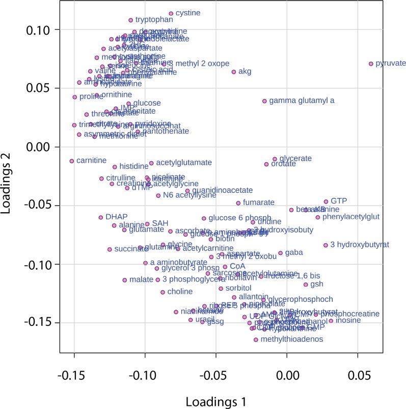 https://cdn.ncbi.nlm.nih.gov/pmc/blobs/053c/6510537/f5fcd2b755c2/elife-44235-fig3-figsupp1.jpg