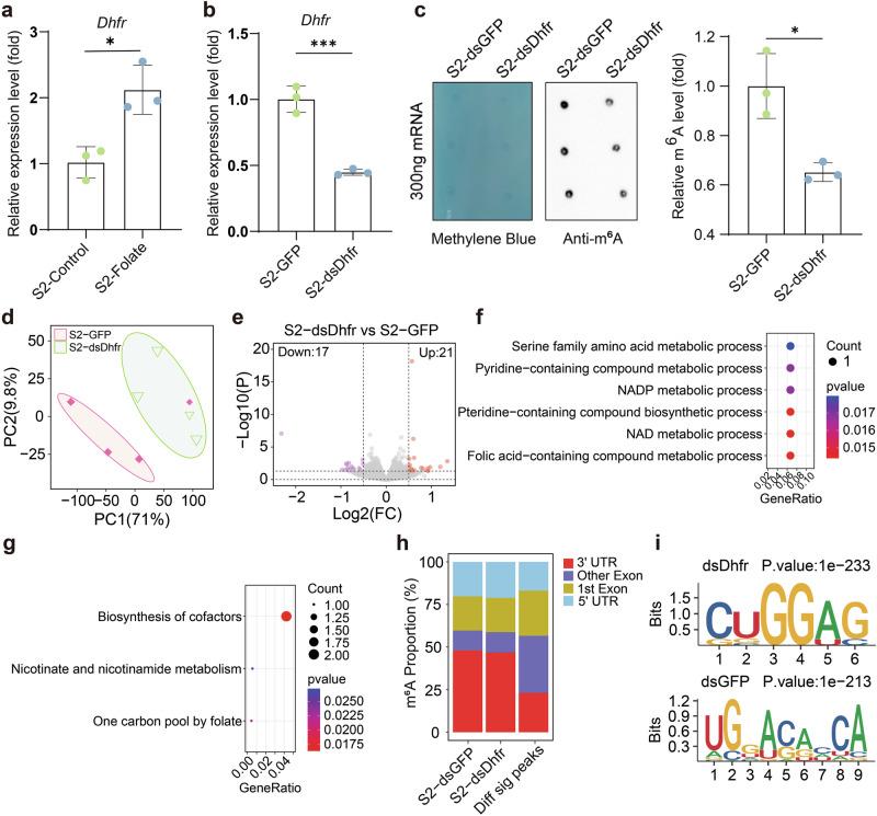 https://cdn.ncbi.nlm.nih.gov/pmc/blobs/053d/12321983/1da9a8f5e7b6/42003_2025_8623_Fig3_HTML.jpg