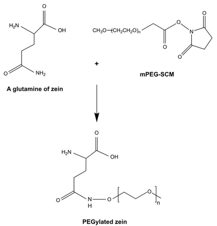 https://cdn.ncbi.nlm.nih.gov/pmc/blobs/053d/8877401/a306cfad54f0/pharmaceutics-14-00439-sch001.jpg