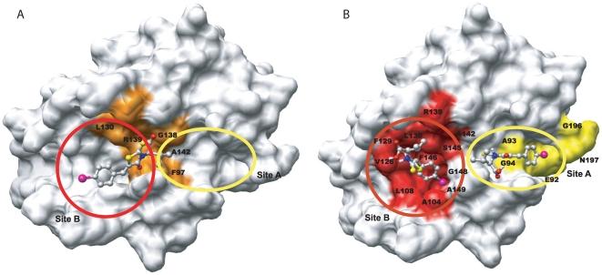 https://cdn.ncbi.nlm.nih.gov/pmc/blobs/053e/2823773/df26ac13744f/pone.0008943.g008.jpg