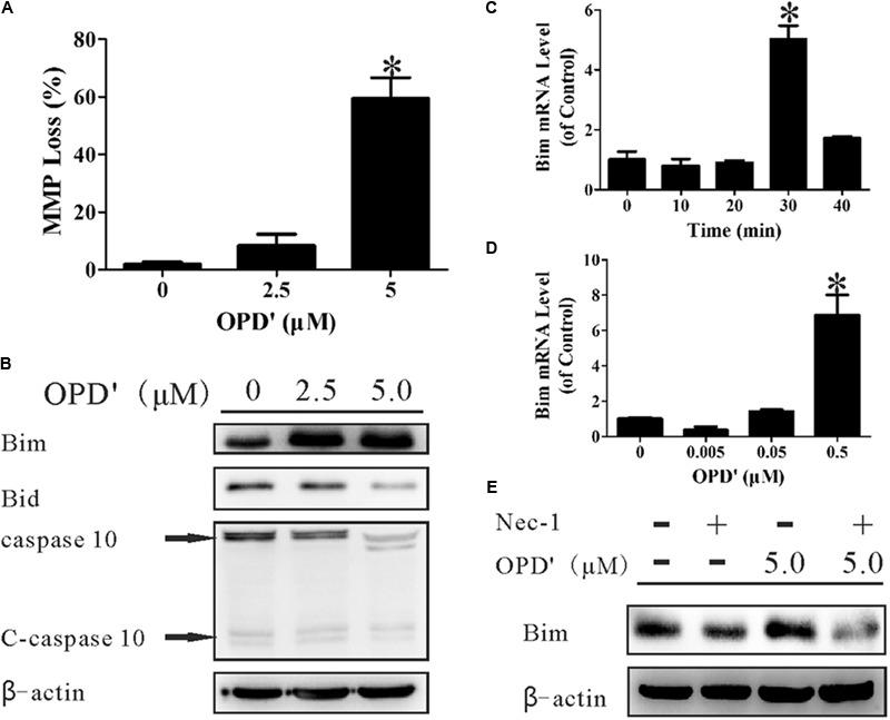 https://cdn.ncbi.nlm.nih.gov/pmc/blobs/053e/5936779/61456ef1b1af/fphar-09-00432-g004.jpg