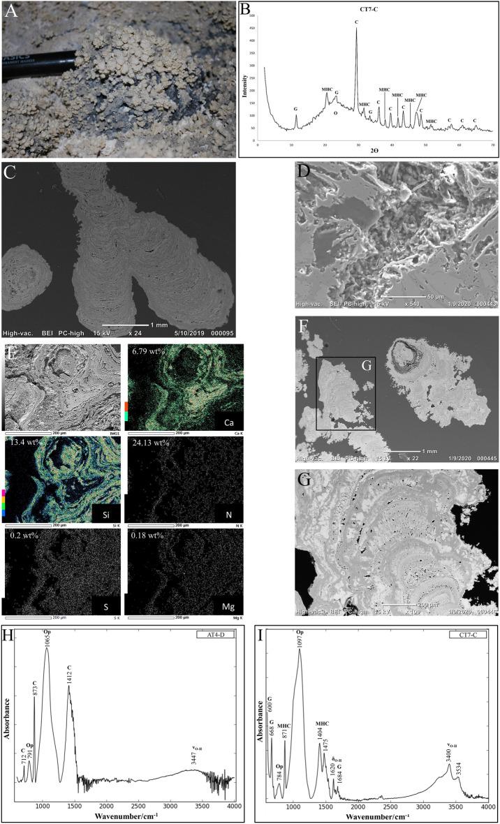 https://cdn.ncbi.nlm.nih.gov/pmc/blobs/0541/10730813/92ac335a8990/41598_2023_48923_Fig5_HTML.jpg