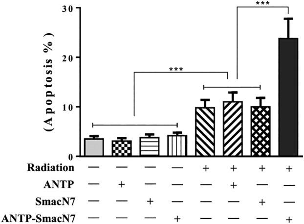 https://cdn.ncbi.nlm.nih.gov/pmc/blobs/0541/7180582/9e5e955e4504/TCA-11-1271-g003.jpg