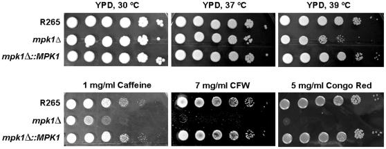 https://cdn.ncbi.nlm.nih.gov/pmc/blobs/0543/3020960/dd6c9f65ce57/pone.0016076.g006.jpg