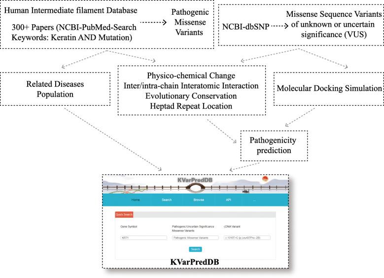 https://cdn.ncbi.nlm.nih.gov/pmc/blobs/0543/7720490/4f6610880577/40246_2020_295_Fig1_HTML.jpg