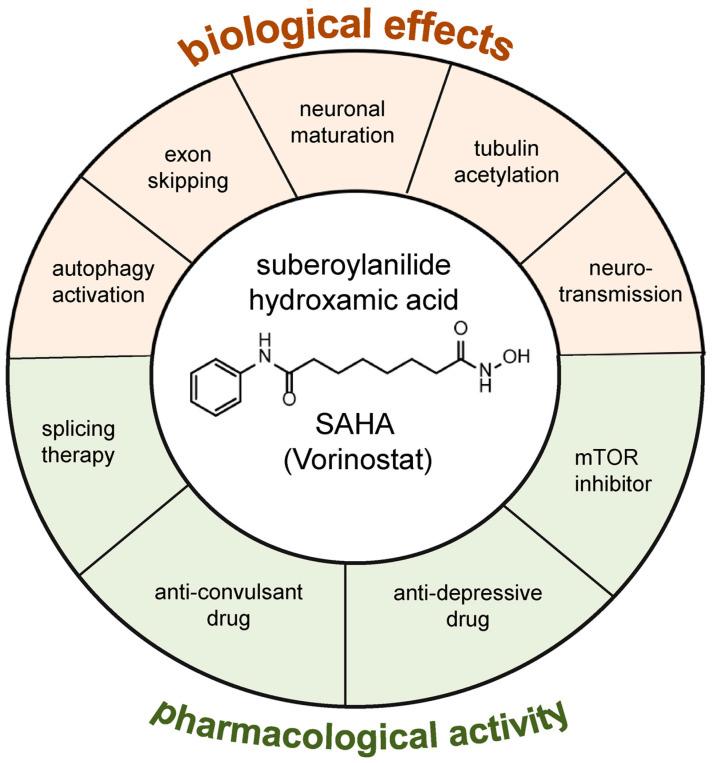 https://cdn.ncbi.nlm.nih.gov/pmc/blobs/0544/10526795/34f281edf468/biomolecules-13-01301-g002.jpg