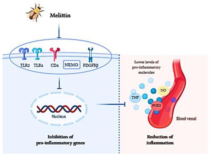 https://cdn.ncbi.nlm.nih.gov/pmc/blobs/0544/7693387/5b59c416dceb/nutrients-12-03360-g002.jpg