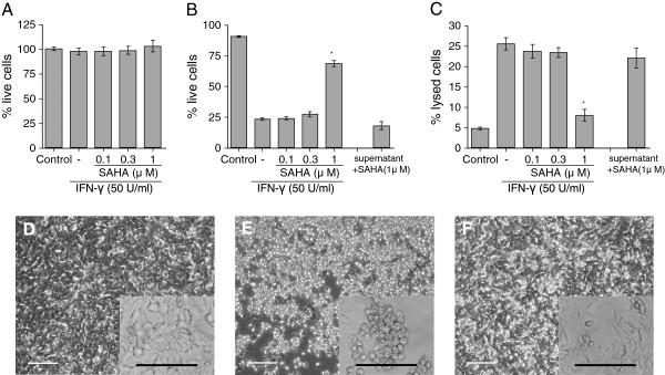 https://cdn.ncbi.nlm.nih.gov/pmc/blobs/0546/3410763/2cdaf5a363fa/1742-2094-9-113-2.jpg