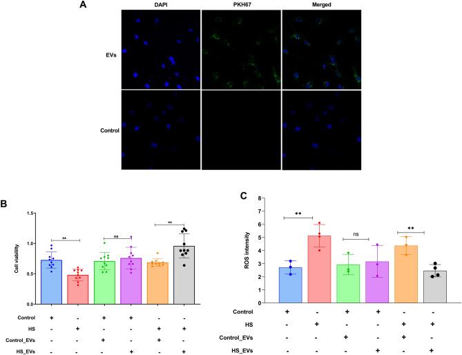 https://cdn.ncbi.nlm.nih.gov/pmc/blobs/0547/7519046/b865e35fcc81/41598_2020_72706_Fig9_HTML.jpg