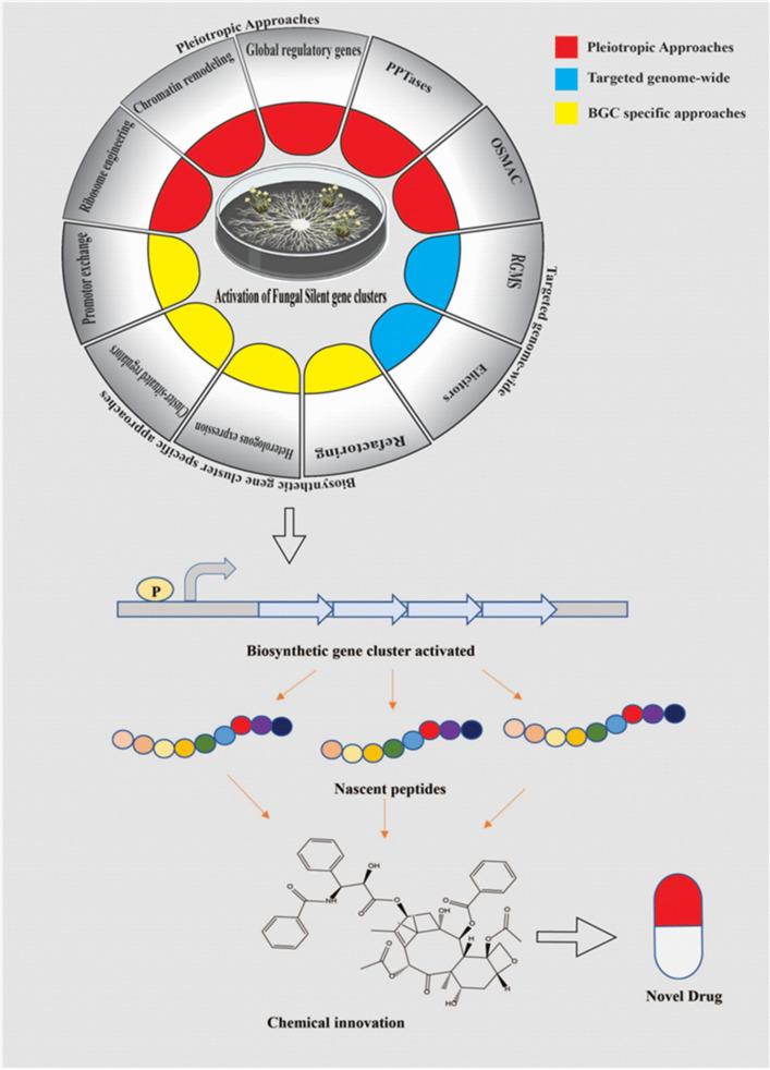 https://cdn.ncbi.nlm.nih.gov/pmc/blobs/054a/12065773/5bfed771f15d/12010_2024_5098_Fig7_HTML.jpg