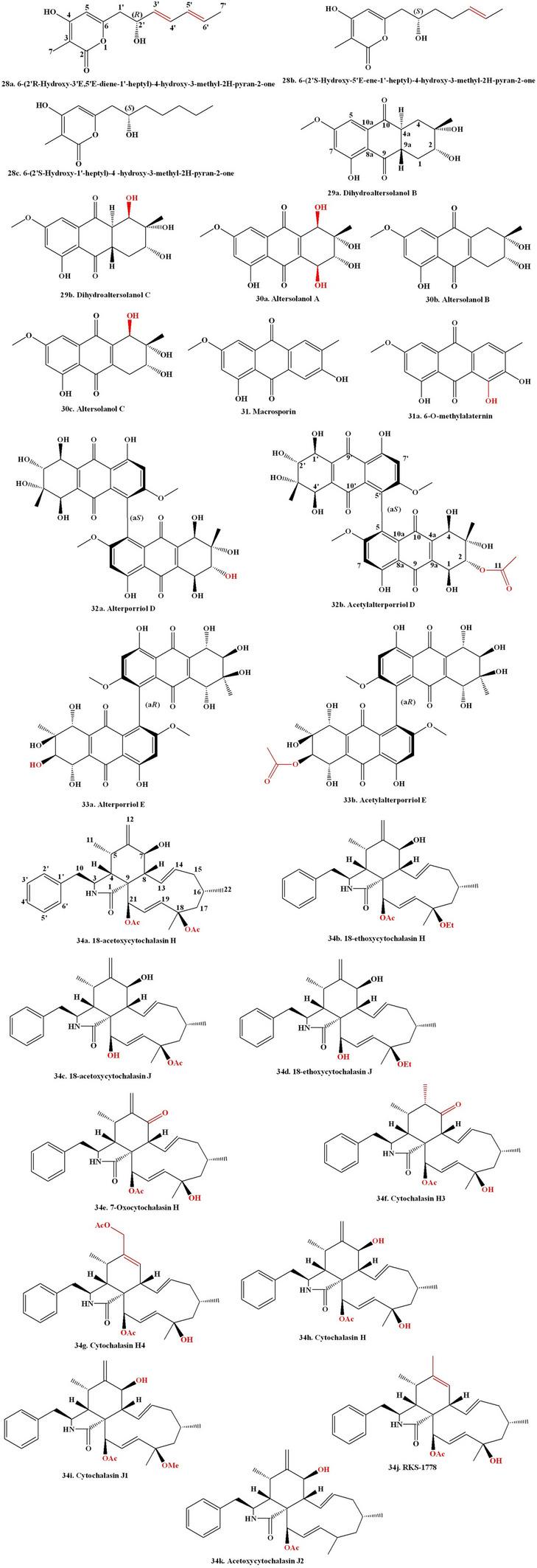 https://cdn.ncbi.nlm.nih.gov/pmc/blobs/054a/12065773/67c19a4b7966/12010_2024_5098_Fig5_HTML.jpg